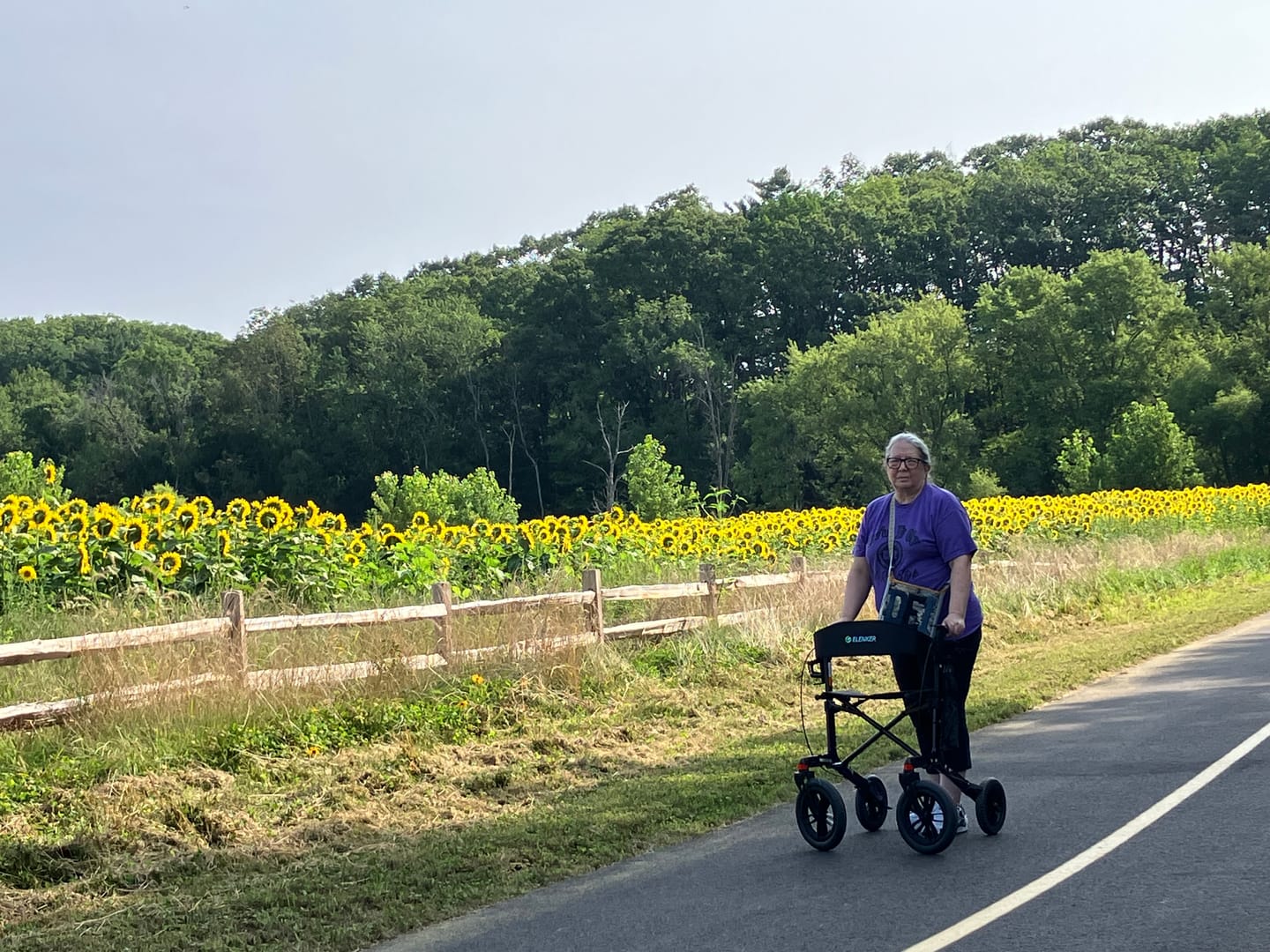 Customer photo review of KLD-9212 All Terrain Dual-Brake Rollator Walker 12" Wheels