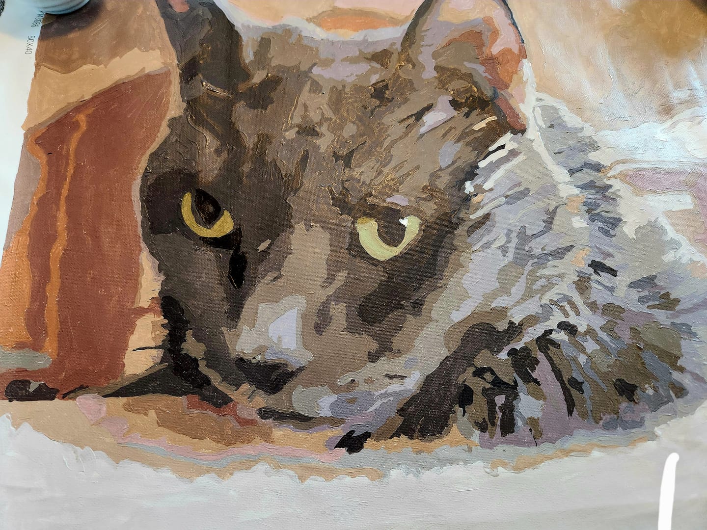 Customer photo review of YOUR PHOTO AS PAINT BY NUMBERS