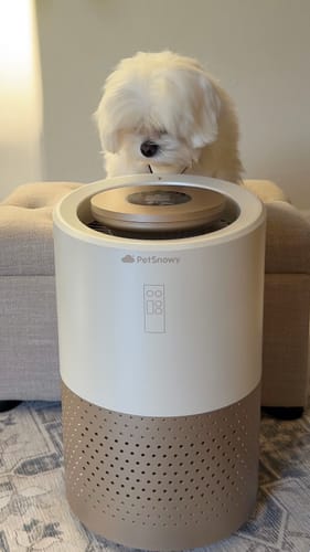 Customer photo review of Pet Air Purifier