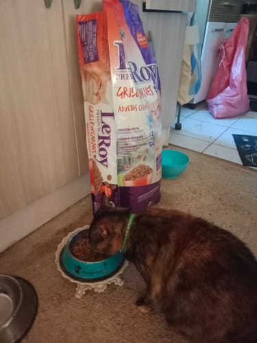 Customer photo review of LEROY GRILLÉ DE CARNES GATO CASTRADO 10,1 KG