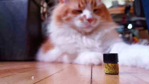 Customer photo review of Liquid Gold *Retires August 31st