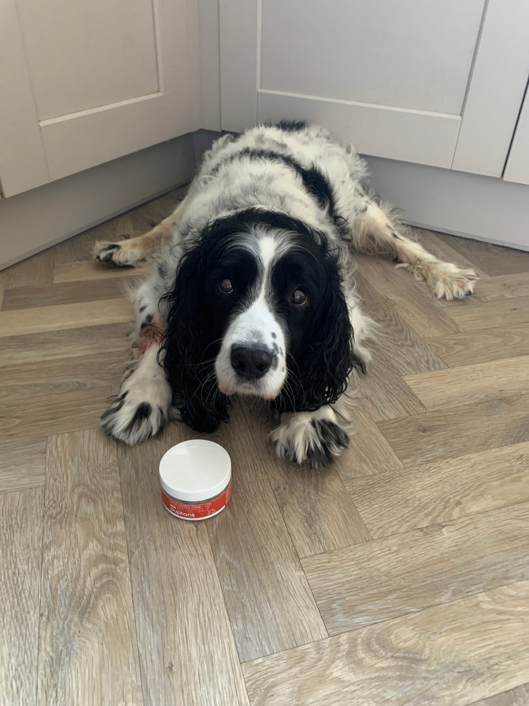 Customer photo review of Total Urinary Care Supplement For Dogs