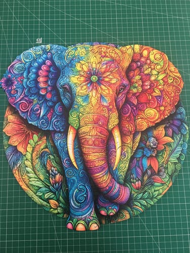 Customer photo review of Stained Glass Fairy Wooden Jigsaw Puzzle