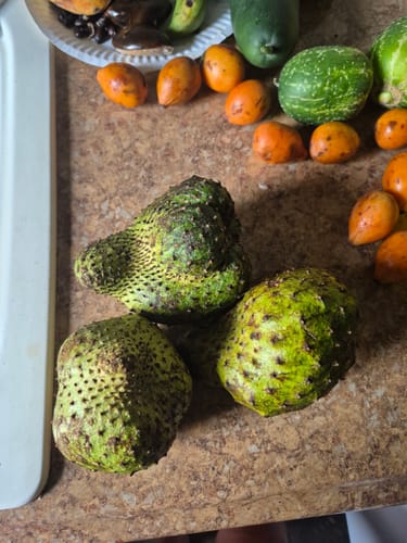 Customer photo review of Soursop