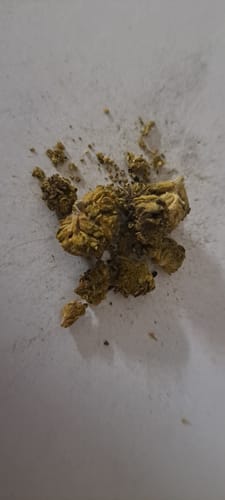 Customer photo review of Bubba OG - Bulk - Minis (Indica)
