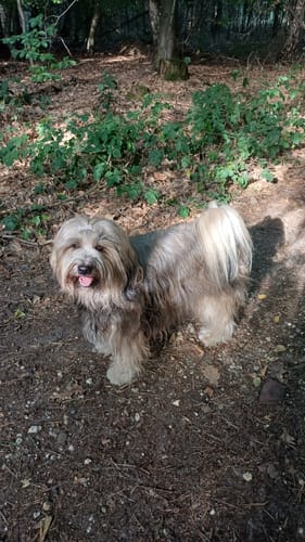 Customer photo review of Nature Protect