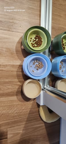 Customer photo review of Makesure CALORIE Pet Bowl - Cat and Small Dog Bowl