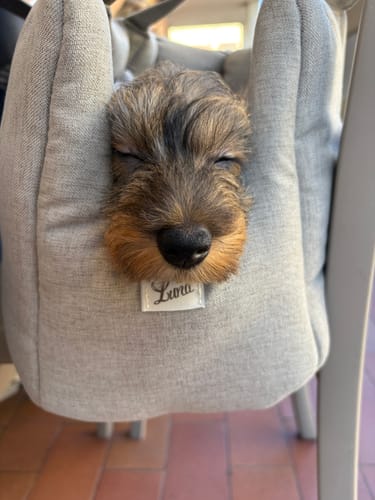 Customer photo review of Borsa Mattias (Soft Touch) Ardesia