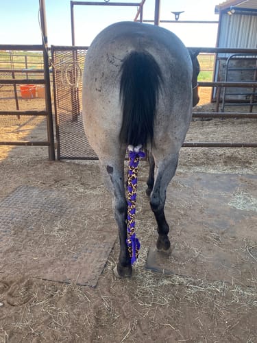 Customer photo review of LEOPARD & PURPLE BRAID IN TAIL BAG