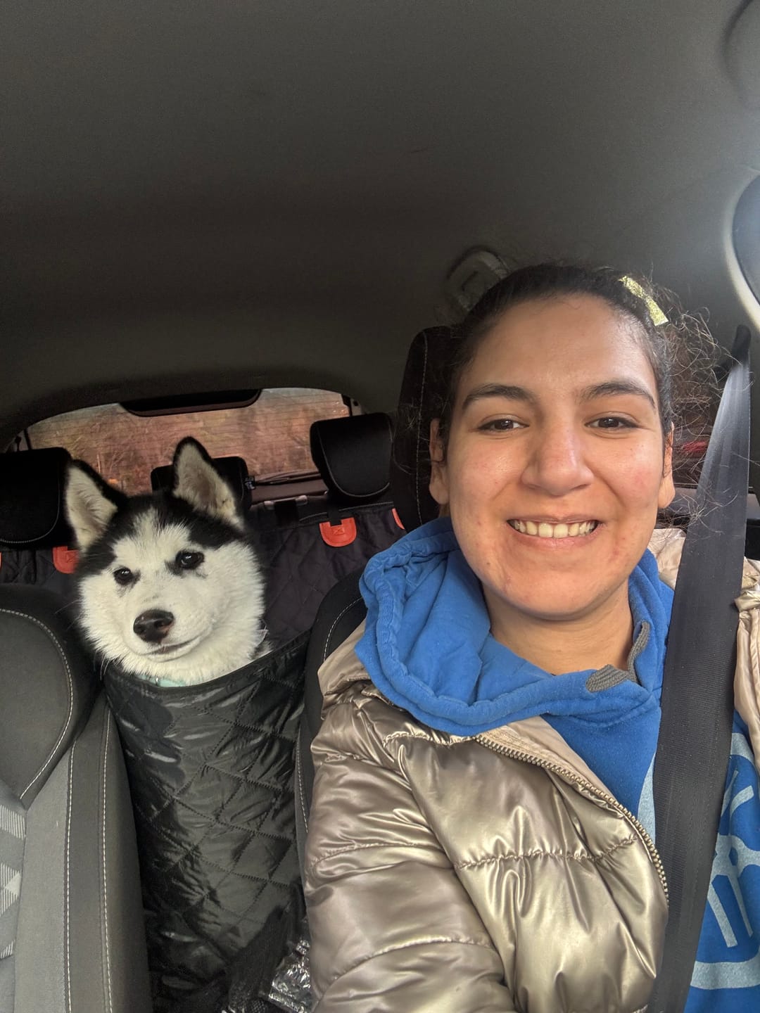Customer photo review of Funda impermeable para auto