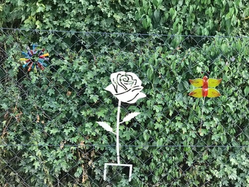 Customer photo review of Gartenstecker Rose