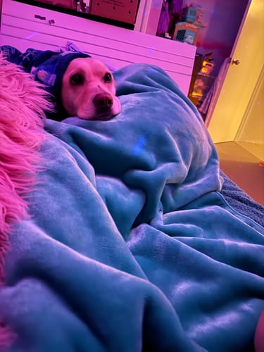 Customer photo review of Waterproof Splash Blanket™ - Teal The OG