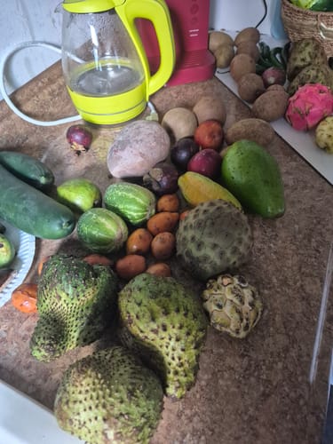 Customer photo review of Tropical Variety Box