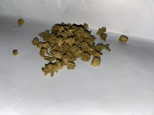 Customer photo review of Indoor THCA Micros