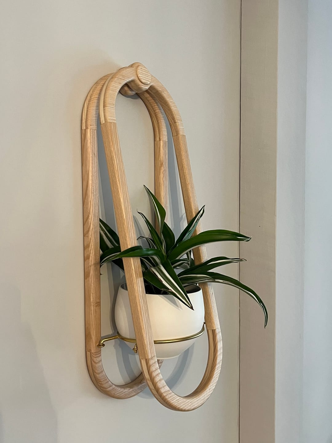 Customer photo review of Frame Wall Planter + Pot