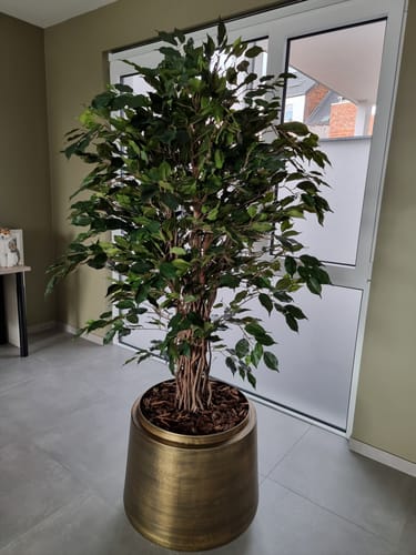 Customer photo review of Bloempot Indigo 58x51cm