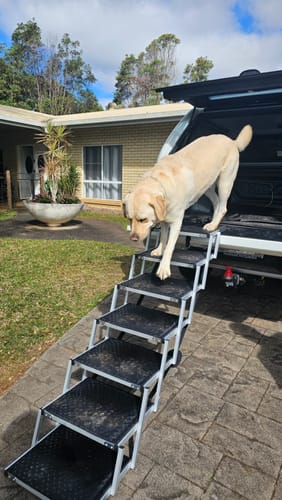 Customer photo review of Foldable Aluminum Pet Steps