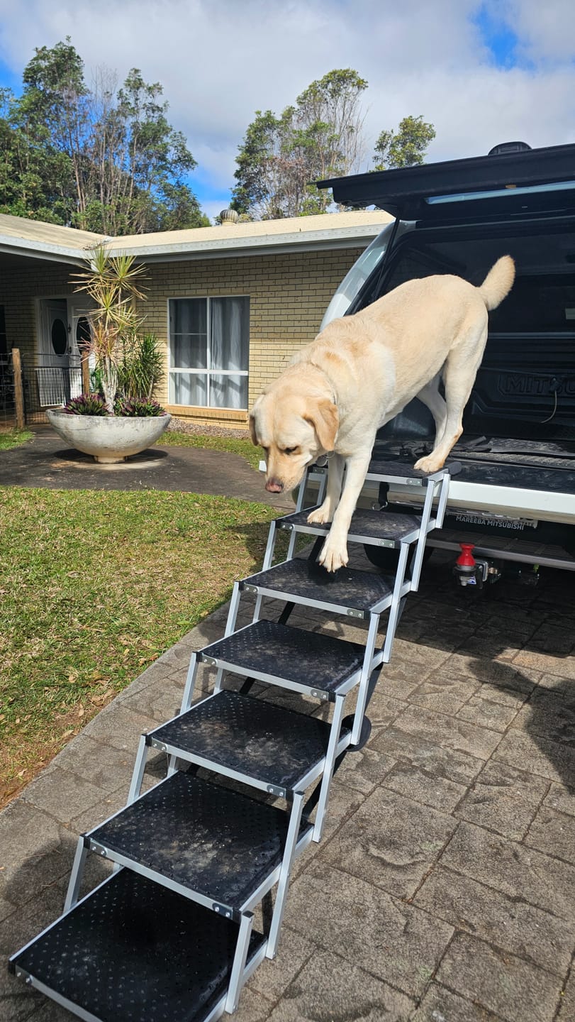 Customer photo review of Foldable Aluminum Pet Steps