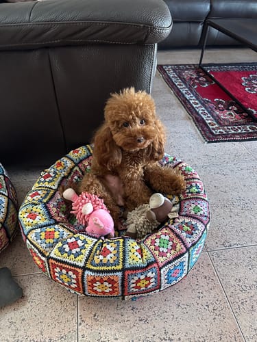 Customer photo review of Cuccia Tonda Crochet in Cotone Panama Superior