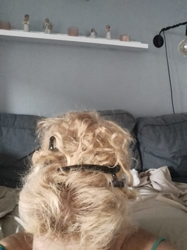 Customer photo review of Sunkissed Starter Kit