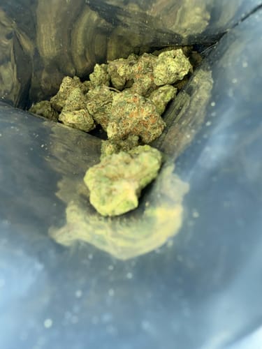 Customer photo review of Super Sonic (smalls)