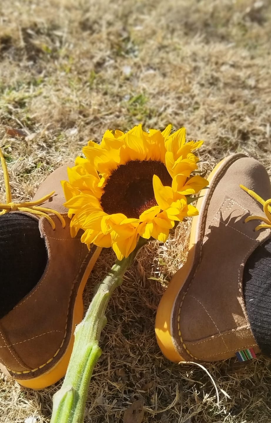 Customer photo review of Heritage Vilakazi (Yellow Sole)