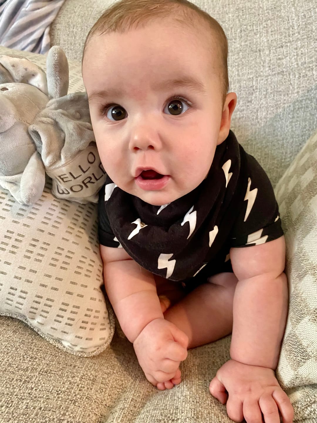 Customer photo review of Bamboo Bandana Bib in Venice