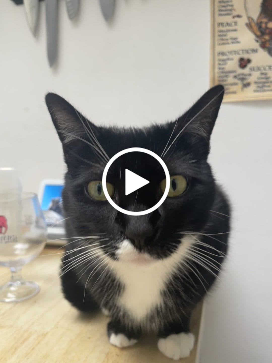 Customer video review of Matcha