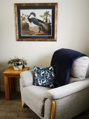 Customer photo review of Louisiana Heron By John James Audubon