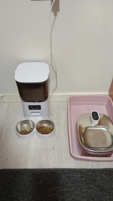 Customer photo review of 5L Double Bowls Smart Automatic Camera Feeder for Cat and Dog
