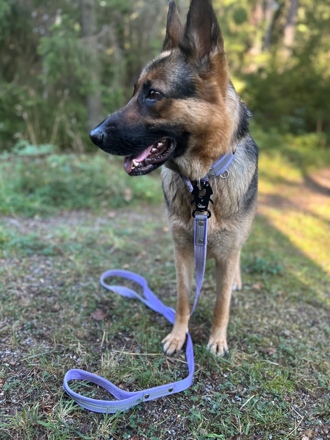 Customer photo review of Active Safe Set Baby Purple - Active halsband & koppel med reflex