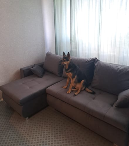 Kliento apžvalga su nuotrauka apie Minkštas kampas LOKO