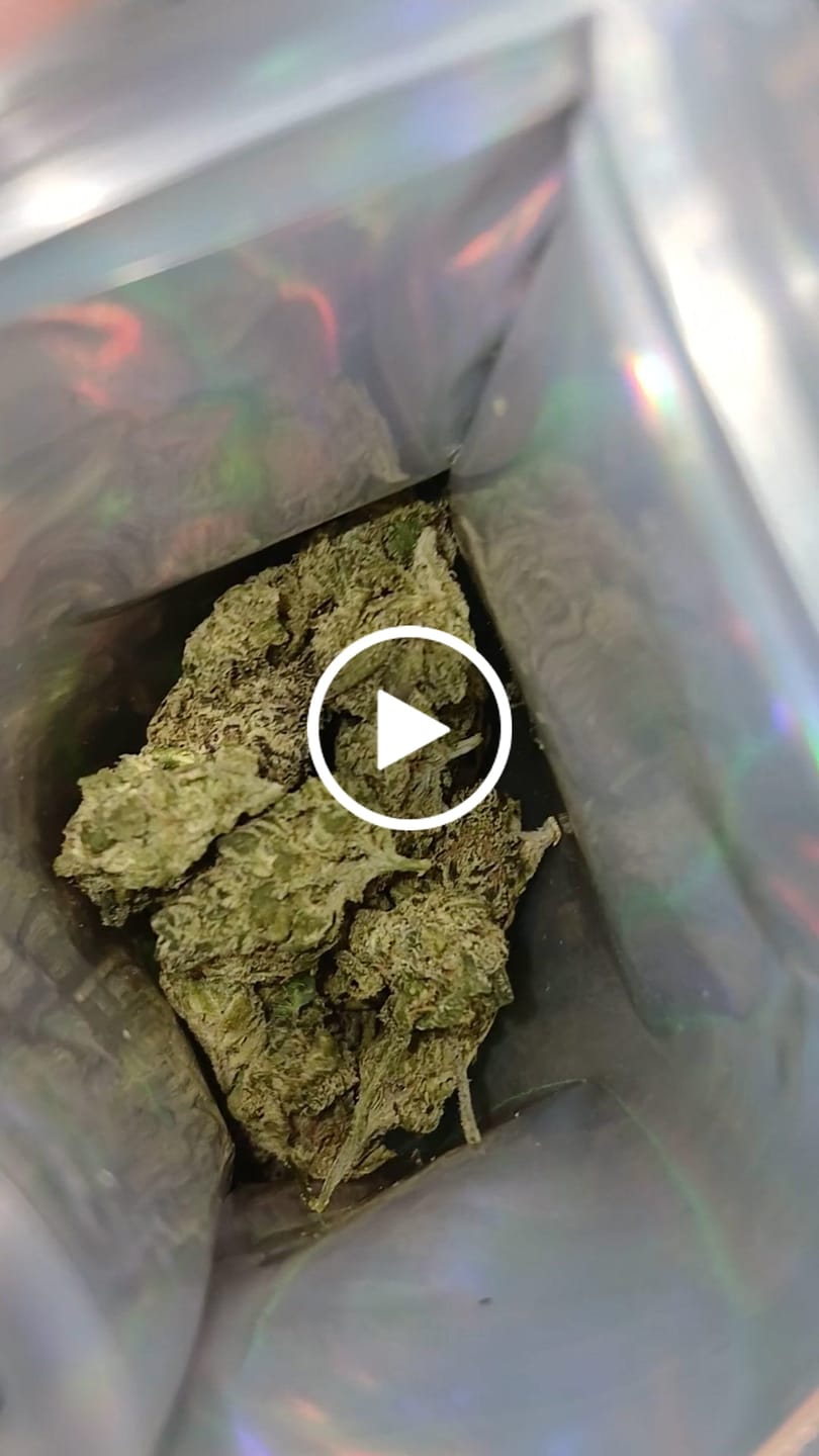 Customer video review of Indoor Smalls