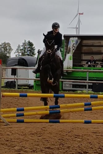 Customer photo review of Strotonin Horse Support