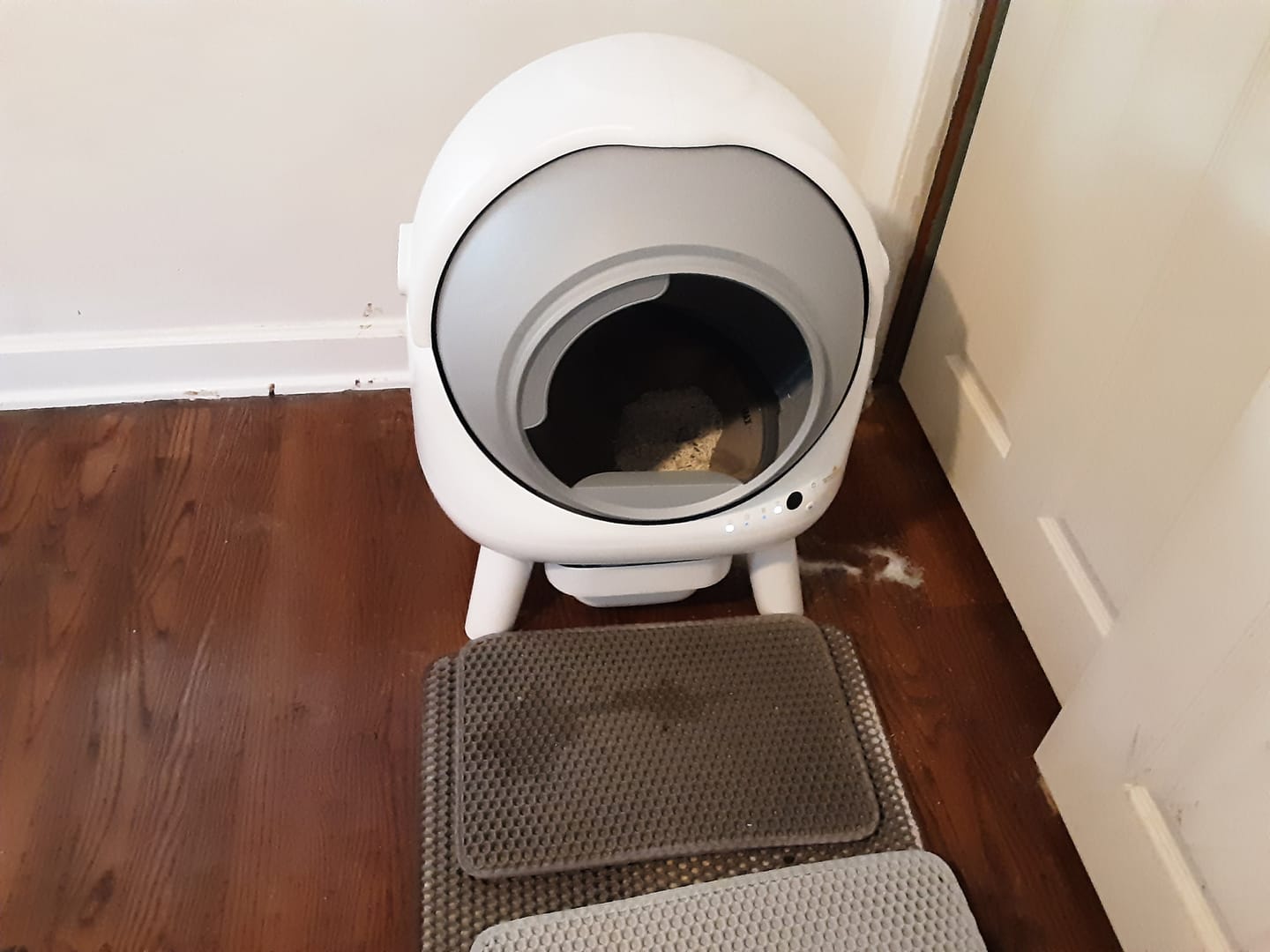 Customer photo review of ELS PET Mixed Cat Litter