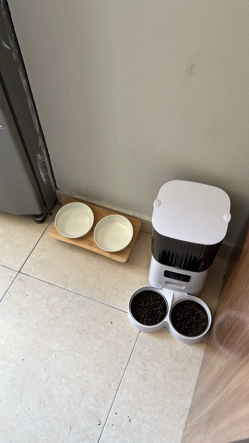 Customer photo review of 5L Double Bowls Smart Automatic Camera Feeder for Cat and Dog