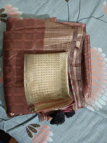 Customer photo review of Peach Organza Saree With Intricate Zari Woven Checks & Tassel Border