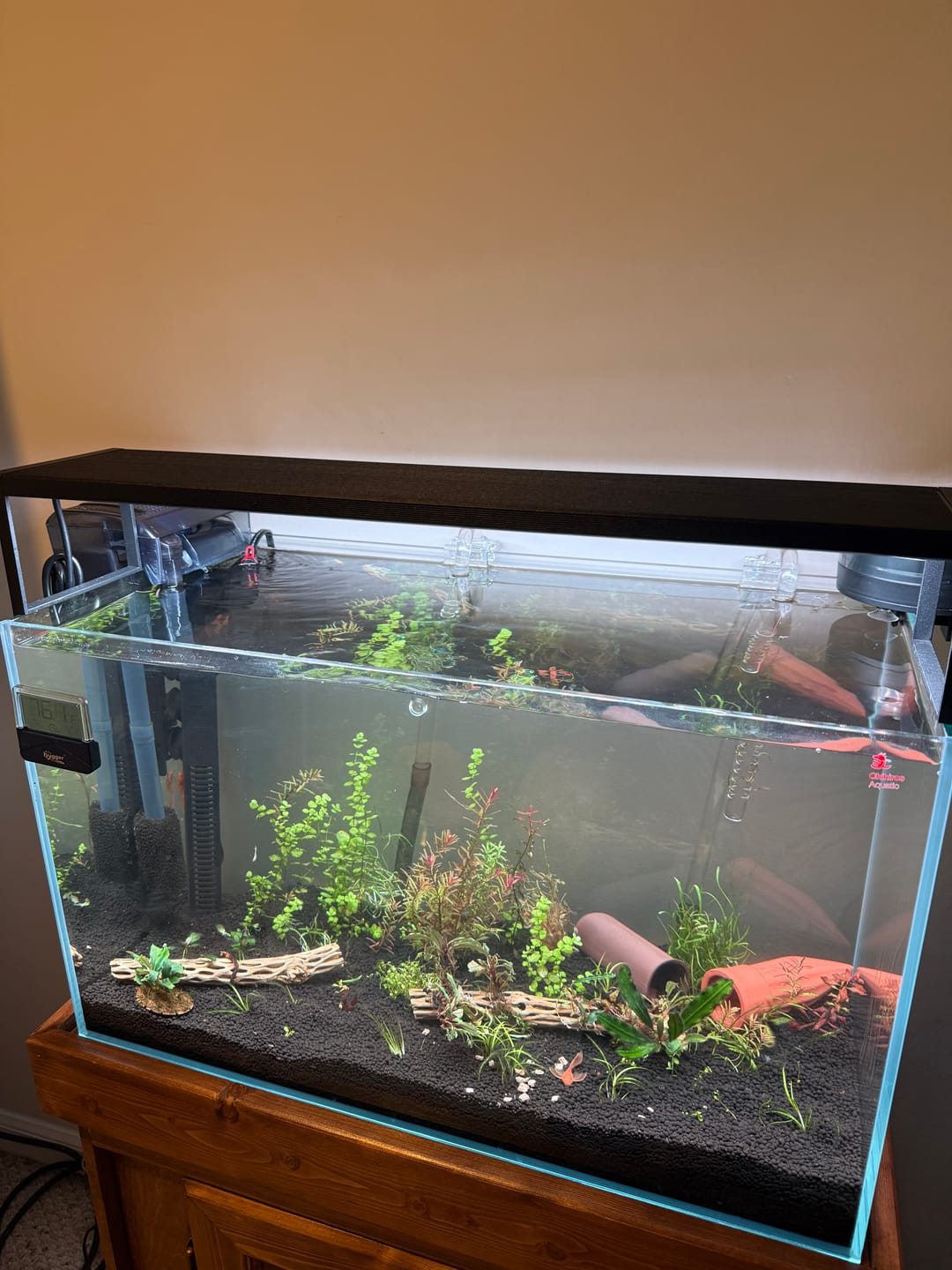 Customer photo review of Chihiros WRGB II Slim LED Light