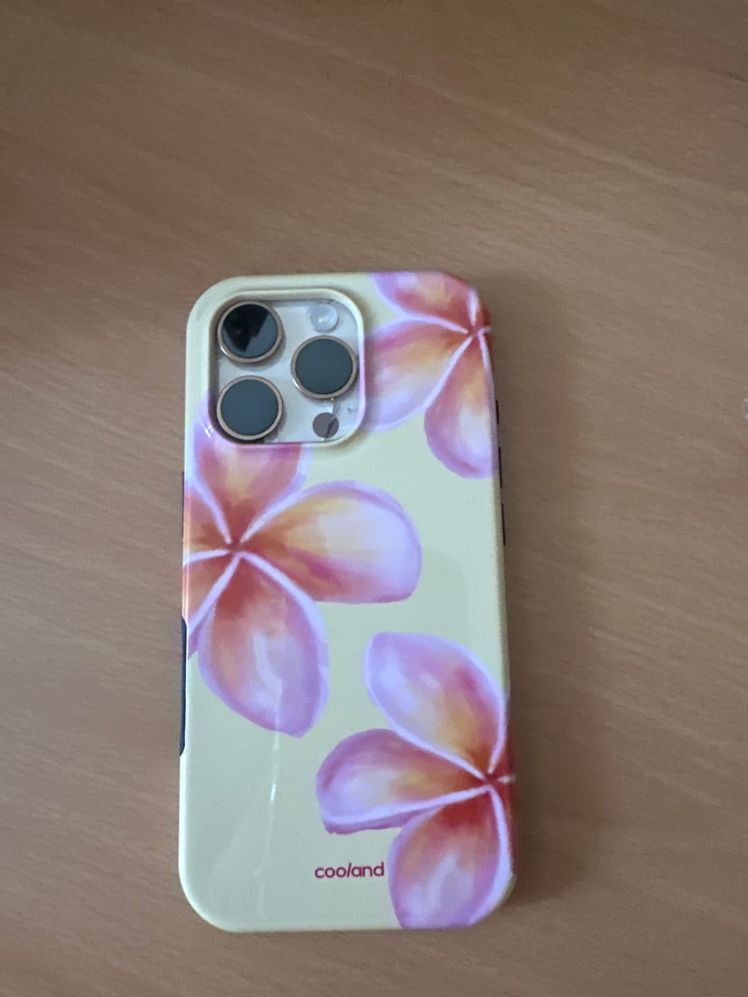 Customer photo review of Fleur Soleil