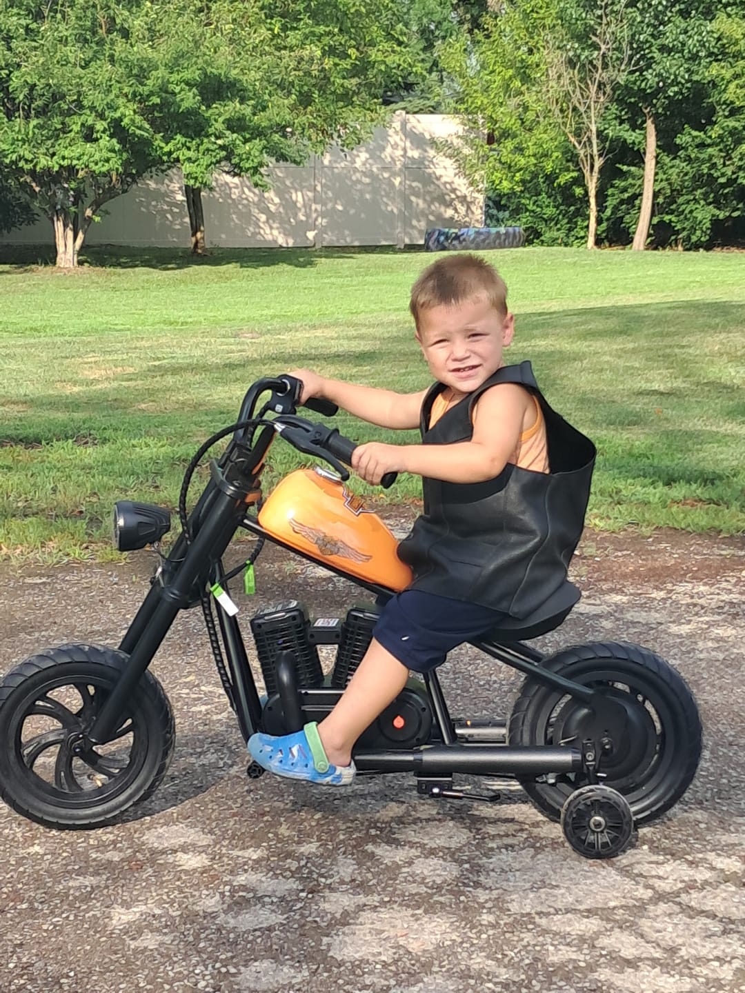 Customer photo review of Cruiser 12