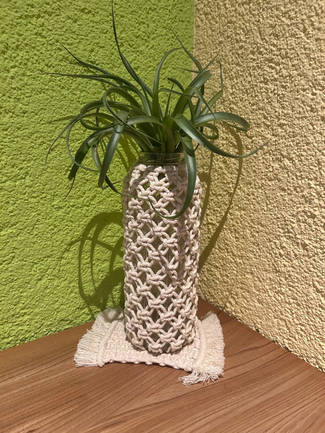 Customer photo review of Tillandsia Marvelous Masterpiece