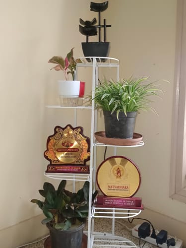 Customer photo review of UnitedCrafts 6 Tier 7 Potted Metal Plant Stand Multiple Shelves