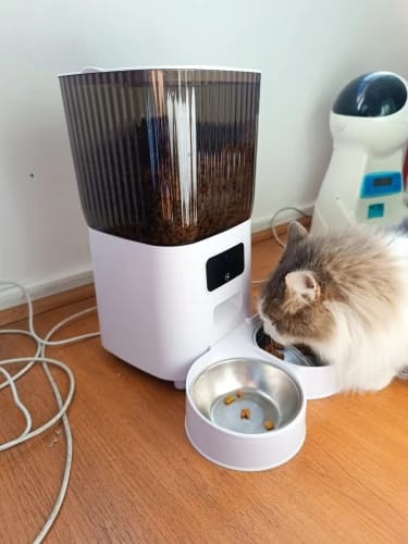 Customer photo review of 5L Double Bowls Smart Automatic Camera Feeder for Cat and Dog