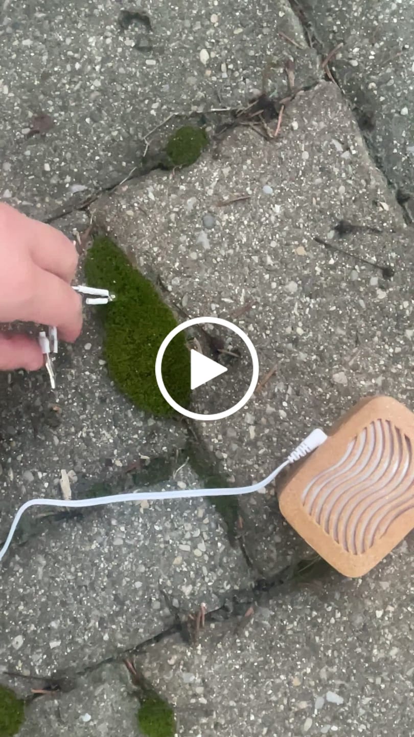 Customer video review of PlantWave