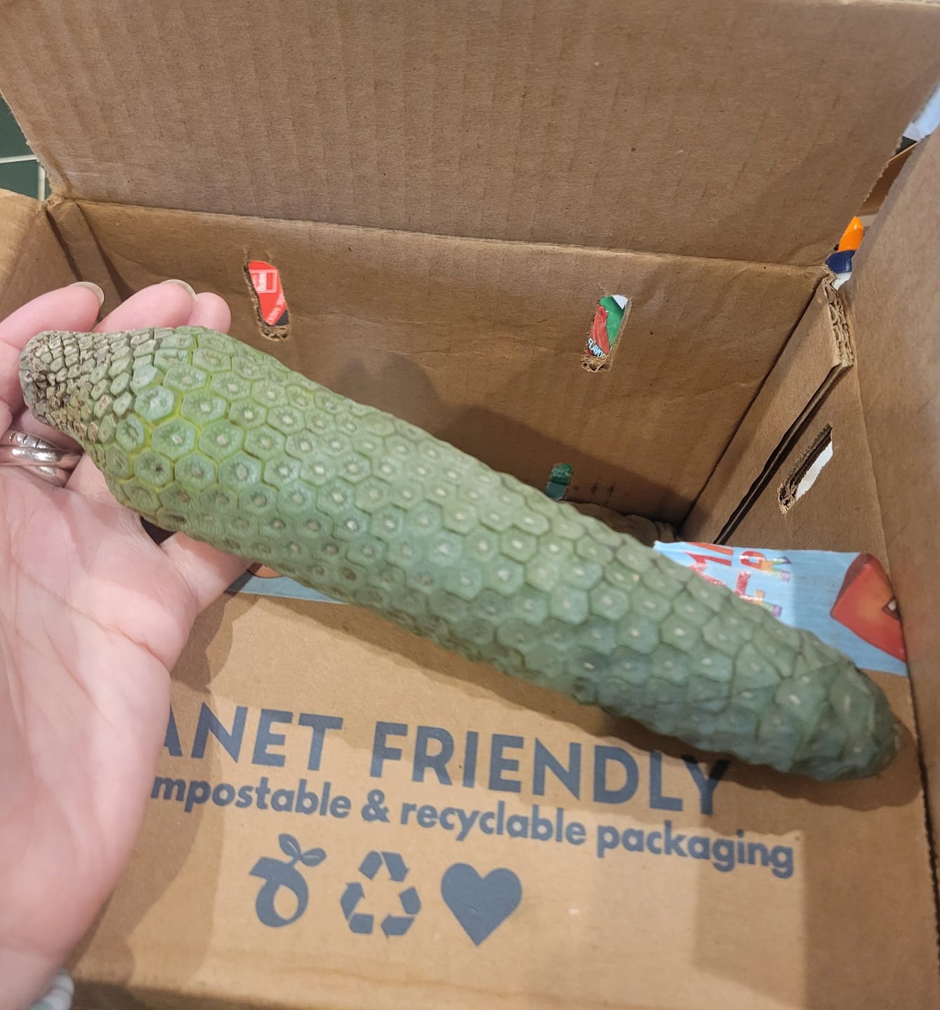 Customer photo review of Build Your Own Tropical Fruit Box