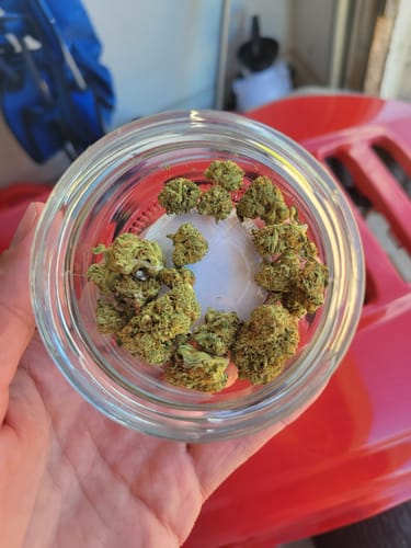 Customer photo review of Berry White  - 14 Grams - Indica
