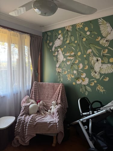 Customer photo review of Australian Native Decals - Wattle
