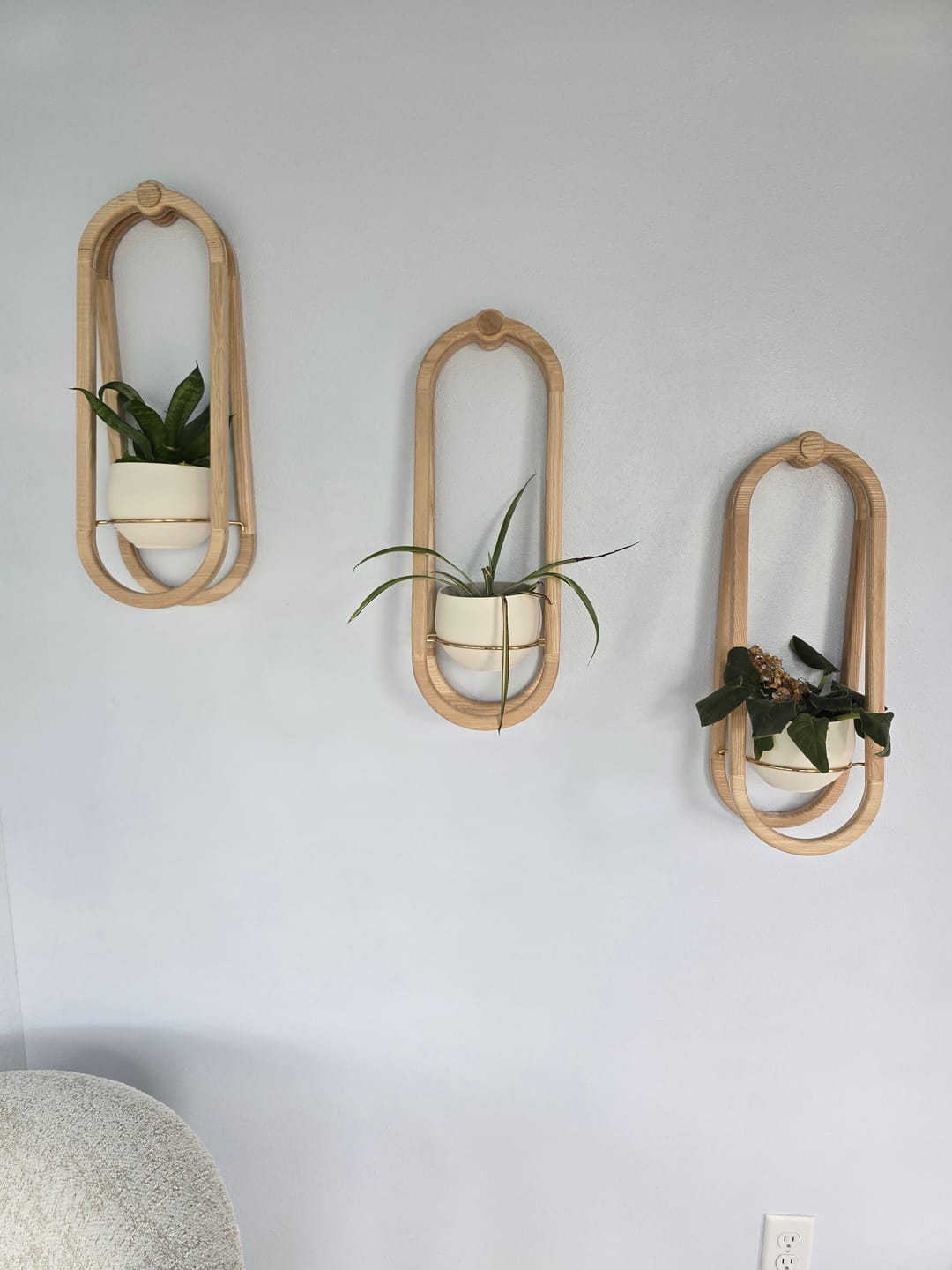 Customer photo review of Frame Wall Planter + Pot