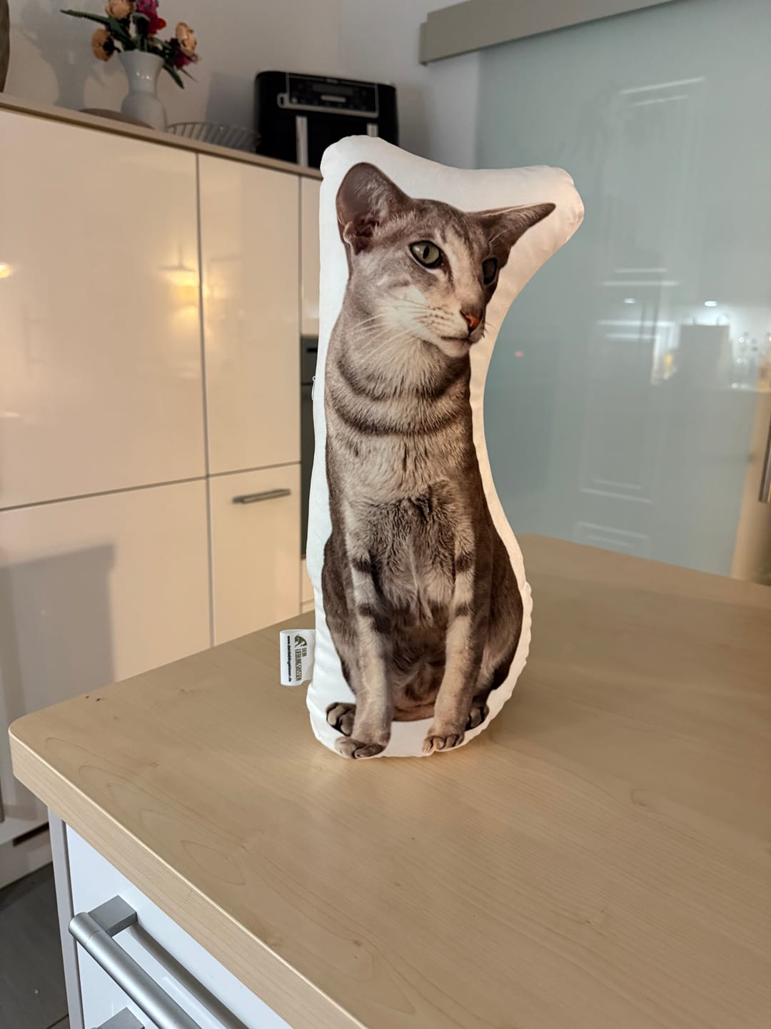 Customer photo review of Personalisiertes Katzenkissen