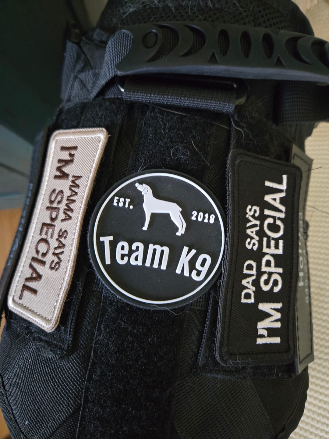 Customer photo review of Hook & Loop Patch Variety Bundle For Harness (Pack of 12)